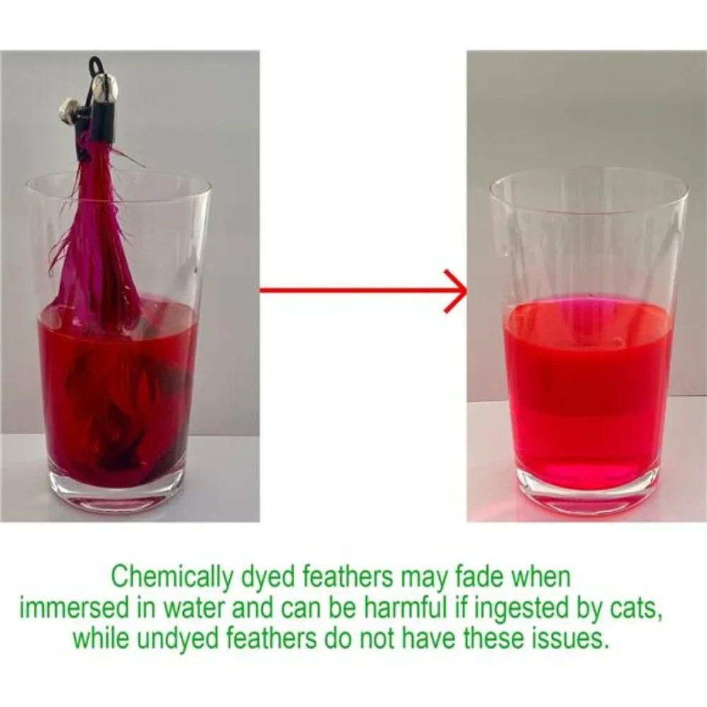 Cat Toys - No Chemical Dyeing Cat Feather Toys for Indoor Cats